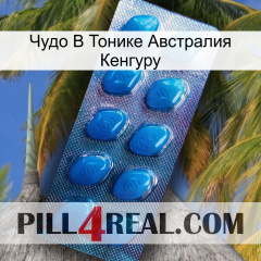 Чудо В Тонике Австралия Кенгуру viagra1